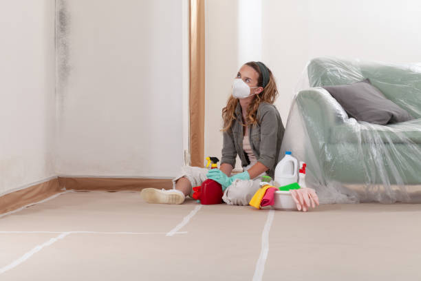 Reliable Basement Mold Remediation contractor in West Newton, MA by Car Mold Remediation